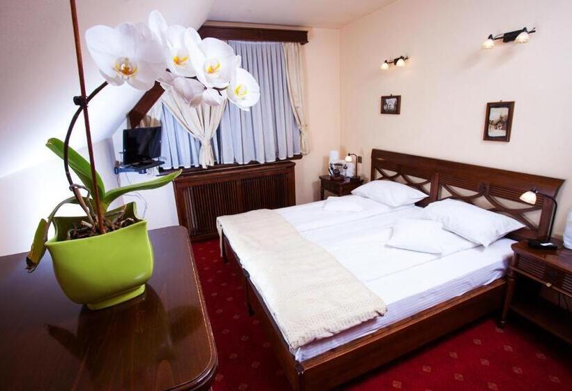 Номер Deluxe, Pension Brasovu Vechi