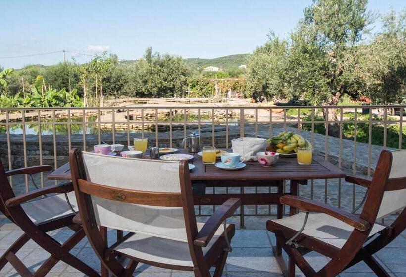 Студия Стандарт, Zoe Seaside Resort
