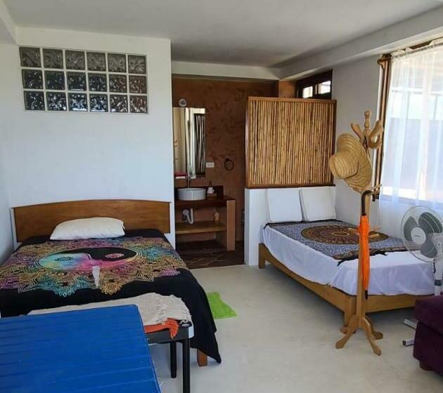 اتاق استاندارد, Bungalow Villa Alive