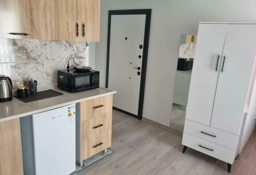 اتاق استاندارد, Istanbul Airport Family Suites