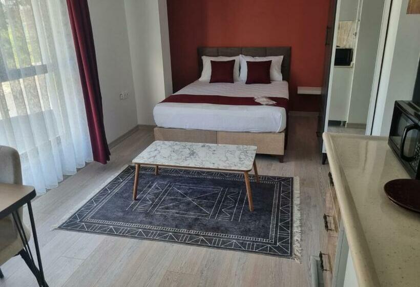 اتاق استاندارد, Istanbul Airport Family Suites
