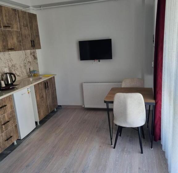 اتاق استاندارد, Istanbul Airport Family Suites