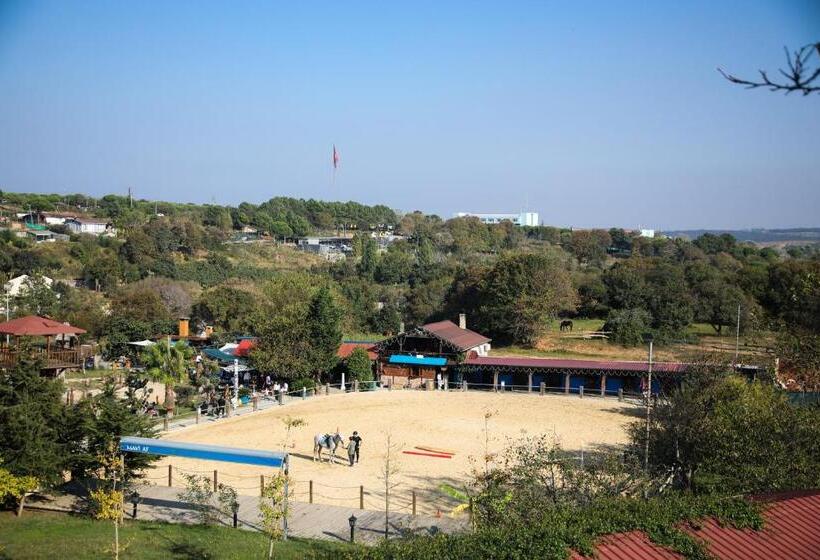 带露台的套间, Mavi̇ At Hotel Blue Horse