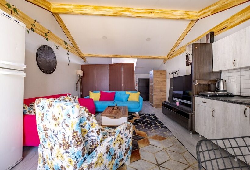 اتاق استاندارد, Stanbol Apart