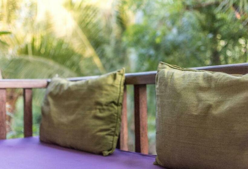 Номер Superior, Arjuna Homestay
