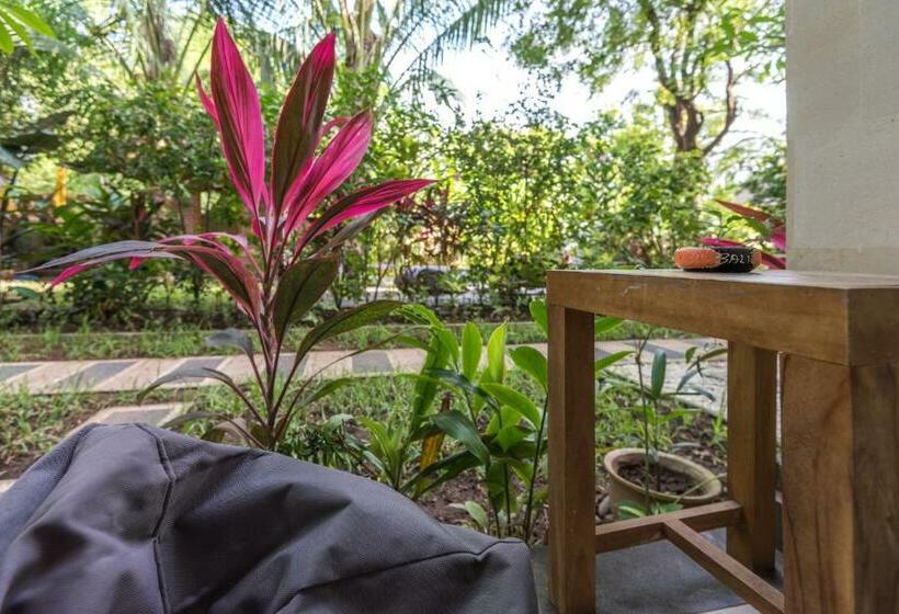 Номер Superior, Arjuna Homestay