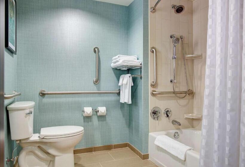 Номер Стандарт Кровать Кинг Адаптированный для Инвалидов, Hyatt Place Arlington Courthouse