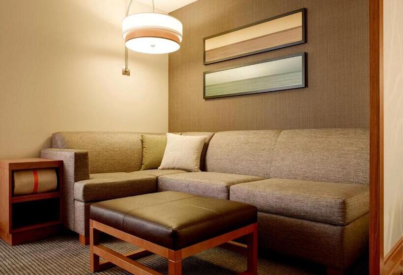 스위트 킹사이즈 침대, Hyatt Place Arlington Courthouse