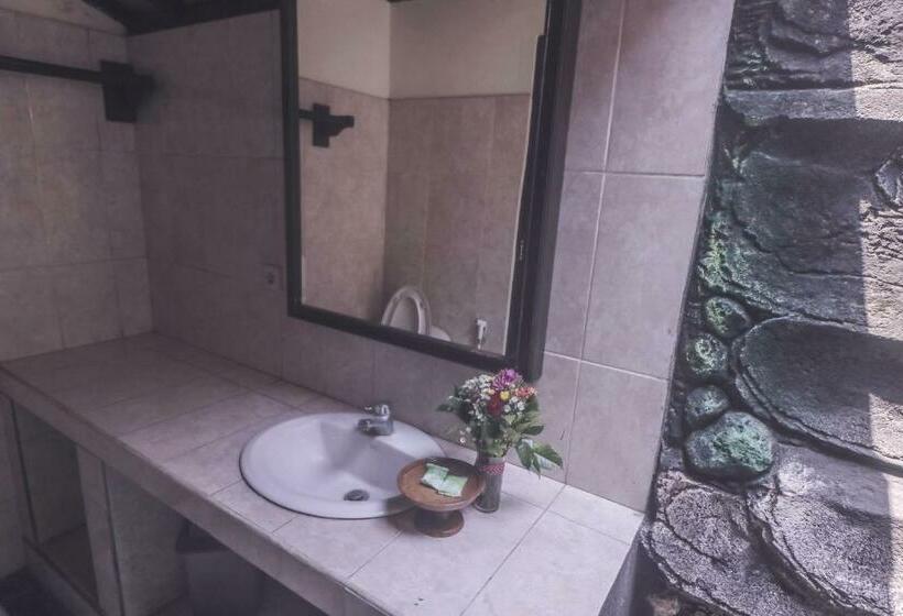 Номер Стандарт, Trijaya Guest House Pemuteran