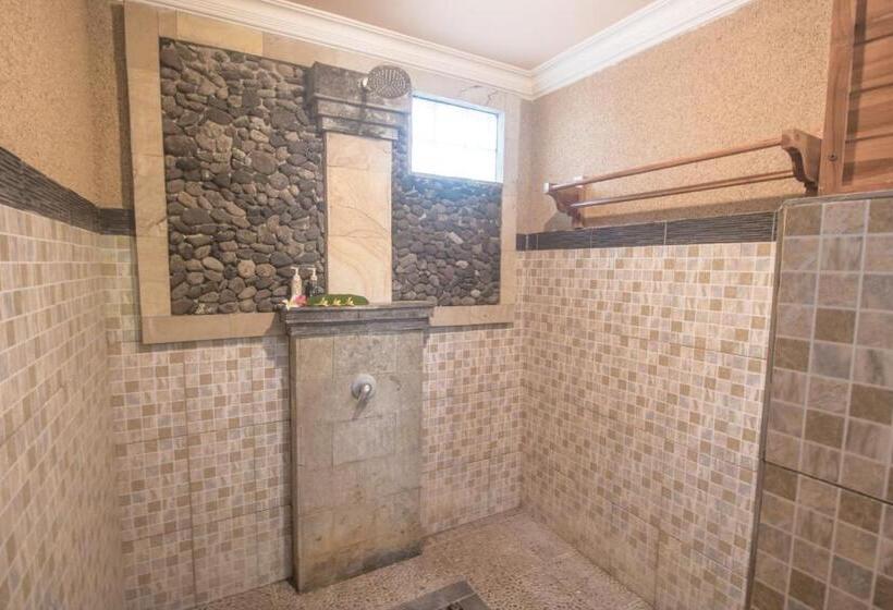 Номер Superior, Trijaya Guest House Pemuteran