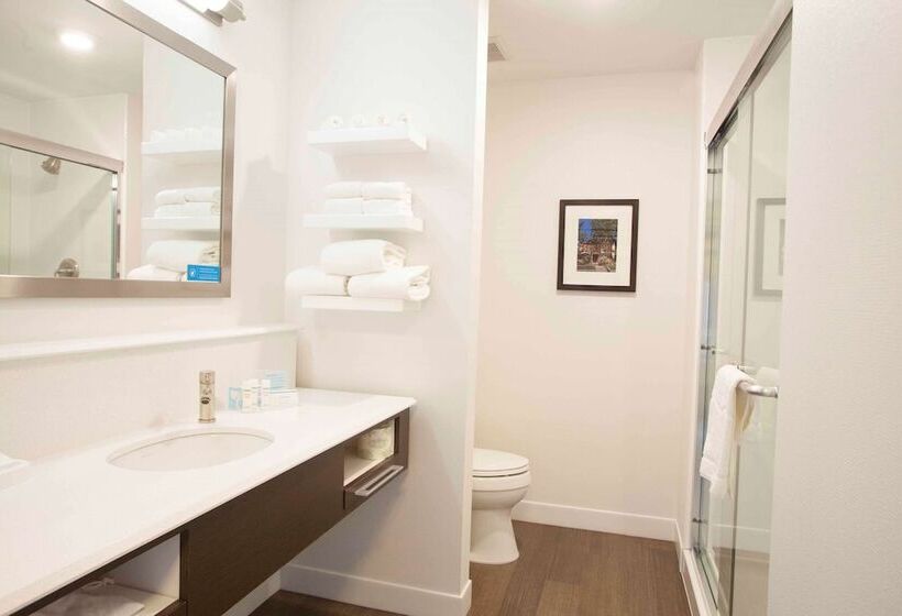 Люкс, Hampton Inn & Suites Downtown St. Paul