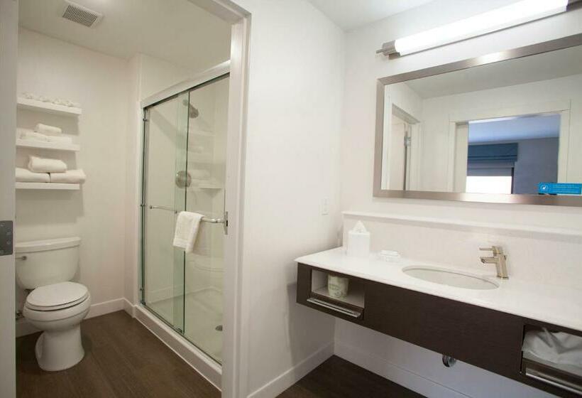 Люкс Deluxe Кровать Кинг, Hampton Inn & Suites Downtown St. Paul