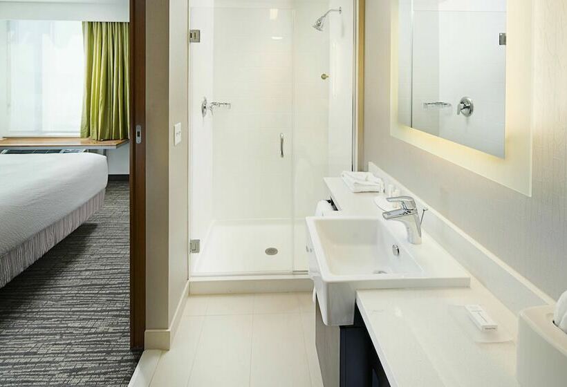 Студия Стандарт, Springhill Suites By Marriott Carle Place Garden City