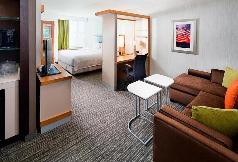 Студио Стандарт Кровать Кинг, Springhill Suites By Marriott Carle Place Garden City
