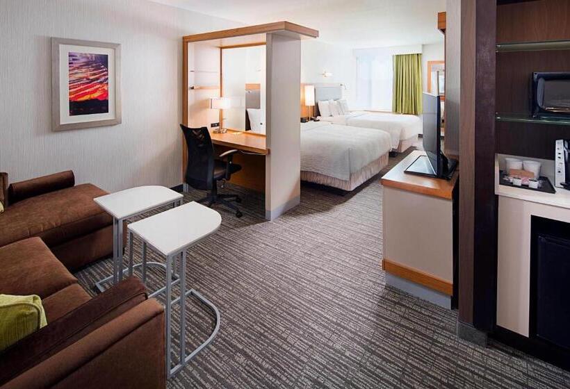 Студия Стандарт, Springhill Suites By Marriott Carle Place Garden City