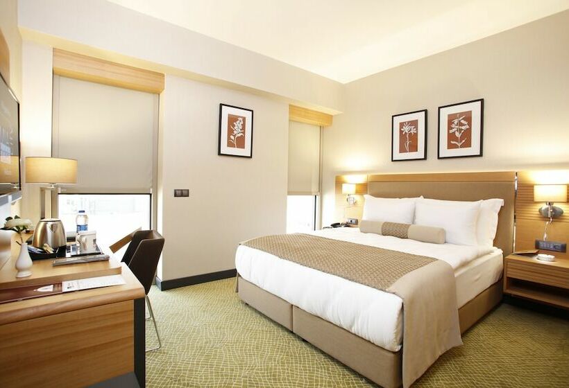 Quarto Estandar, Mia City