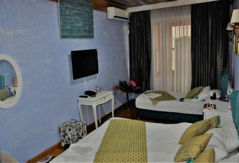 Single Deluxe Room, The Trip Istanbul