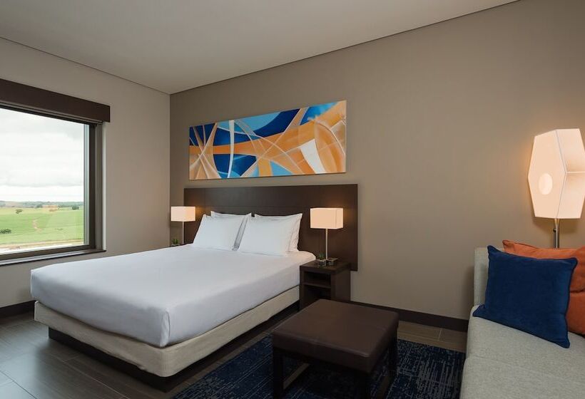 Стандартный Номер Кровать Кинг, Hyatt Place Sao Jose Do Rio Preto