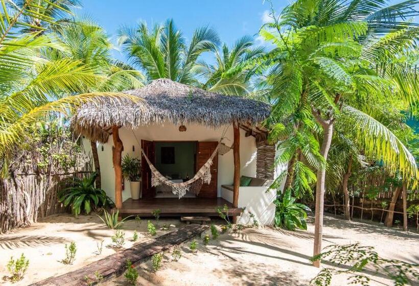 بنجلو قياسى مطلّ علي الحديقة, Pousada Villa Zen