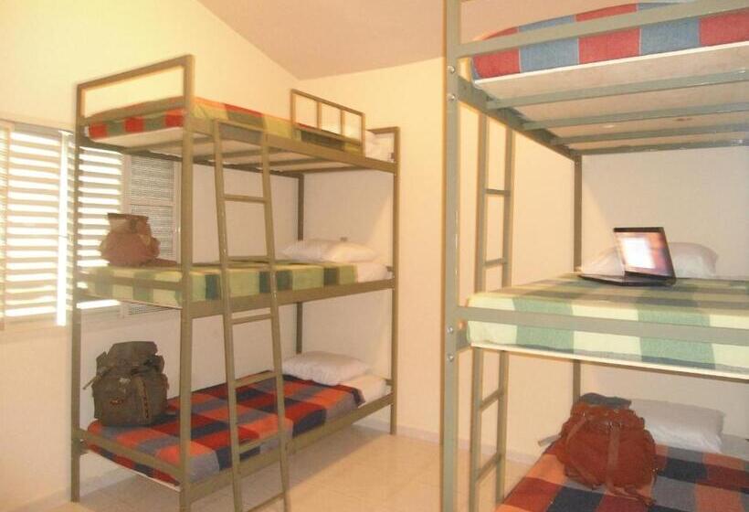 공용 욕실 구비 공동 객실 내의 침대, Casamatta Hostel