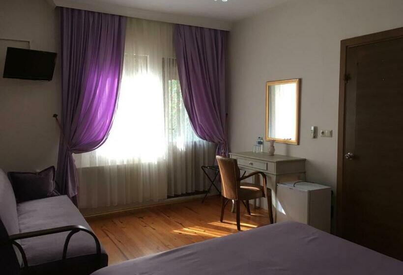 اتاق استاندارد, Sapanca Dilek Konagi