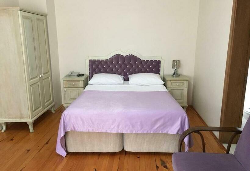 اتاق استاندارد, Sapanca Dilek Konagi