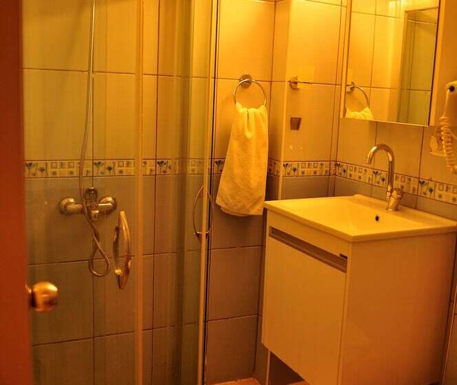 اتاق استاندارد, Anadolu