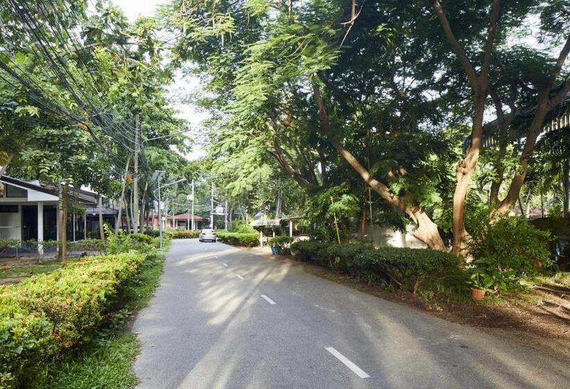 ویلای 1 خوابه با چشم‌انداز باغ, Villa Navin