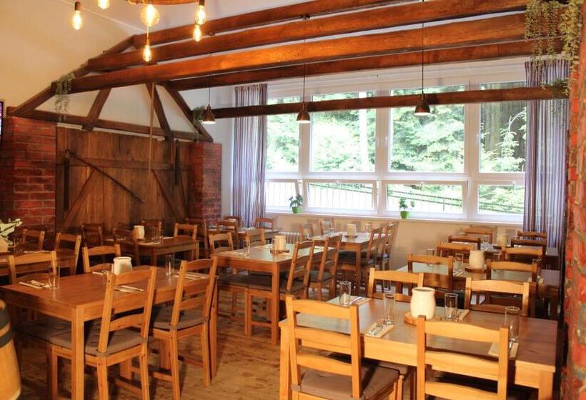 آپارتمان 1 خوابه, Resort Lesní Lázně