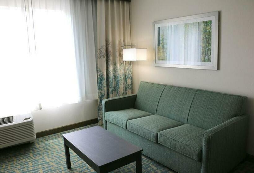 سوئیت با تخت بزرگ, Holiday Inn Express & Suites   Hendersonville Se   Flat Rock, An Ihg
