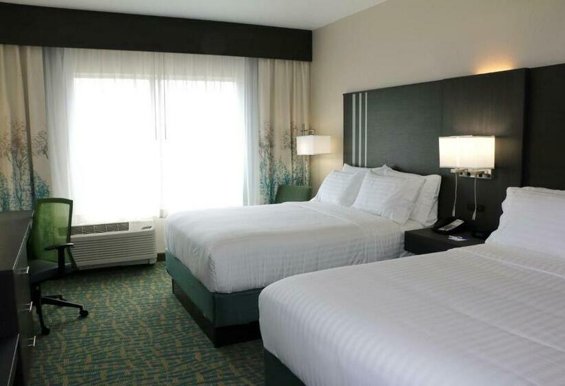 اتاق استاندارد, Holiday Inn Express & Suites   Hendersonville Se   Flat Rock, An Ihg