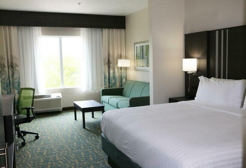 اتاق استاندارد, Holiday Inn Express & Suites   Hendersonville Se   Flat Rock, An Ihg