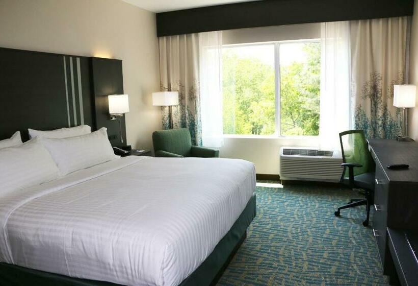 اتاق استاندارد, Holiday Inn Express & Suites   Hendersonville Se   Flat Rock, An Ihg