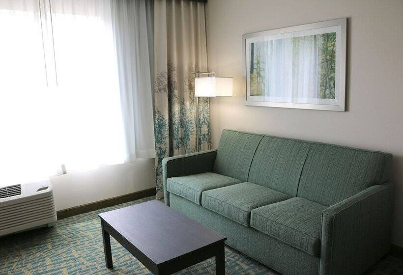 سوئیت برای معلولان, Holiday Inn Express & Suites   Hendersonville Se   Flat Rock, An Ihg
