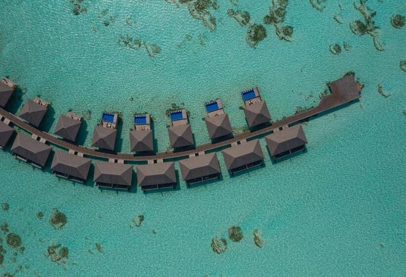 سوییت با استخر, Cocoon Maldives  All Inclusive