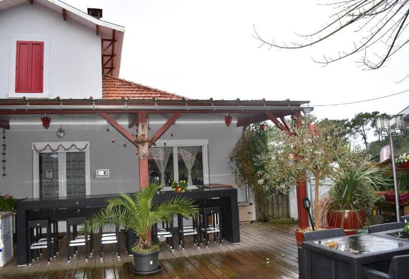 Апартаменты 1 Спальня, Chez Augustin