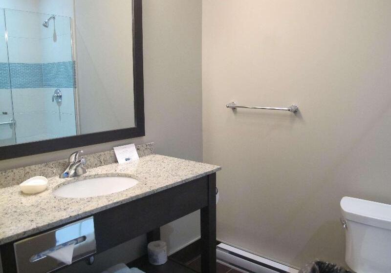 스탠다드 룸, Best Western Plus Hotel Montreal
