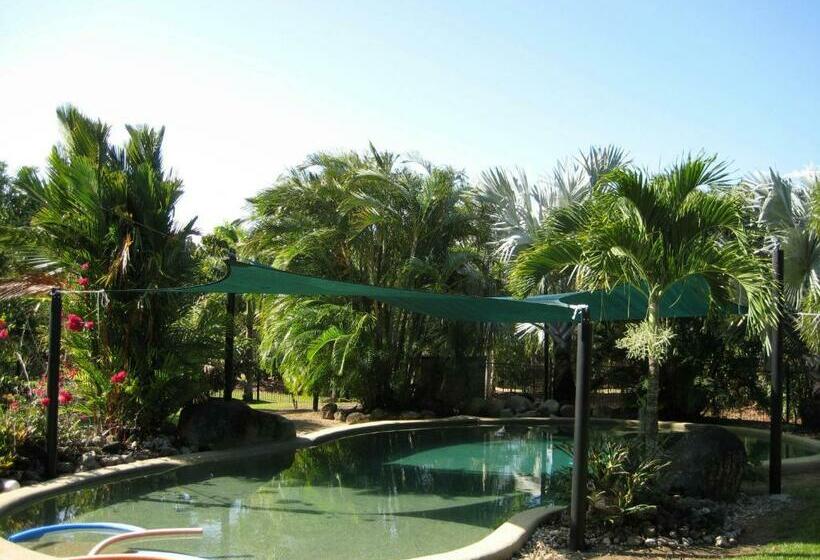 스탠다드 룸 풀장 전망, Daintree Wild Bed & Breakfast