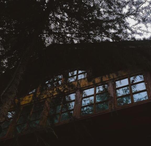 一居室别墅, The Lazy And Slow