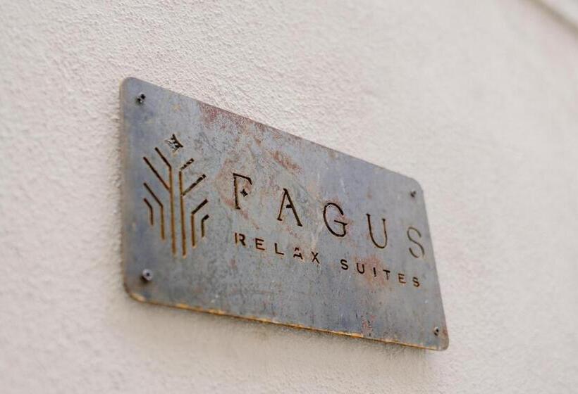 Номер Стандарт с Гидромассажем, Fagus   Relax Suites