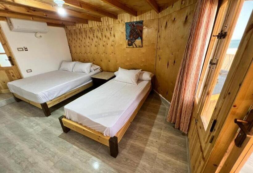 اتاق استاندارد, Panorama Lodge Nuweiba