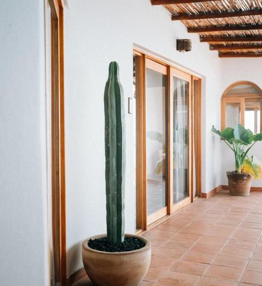 スタンダードルーム, Boutique Casa La Malagueña