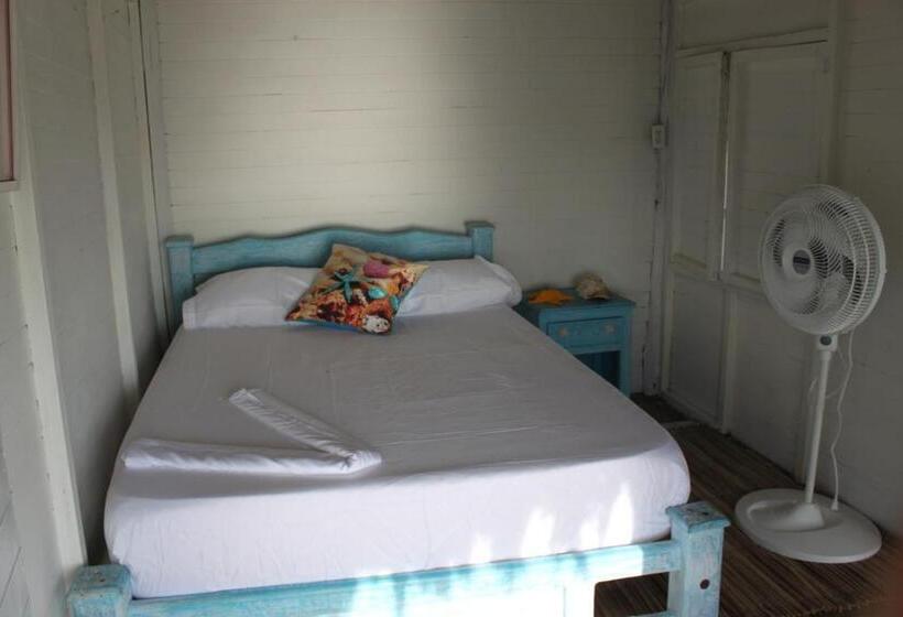 스탠다드 룸, Piña Colada Hostels