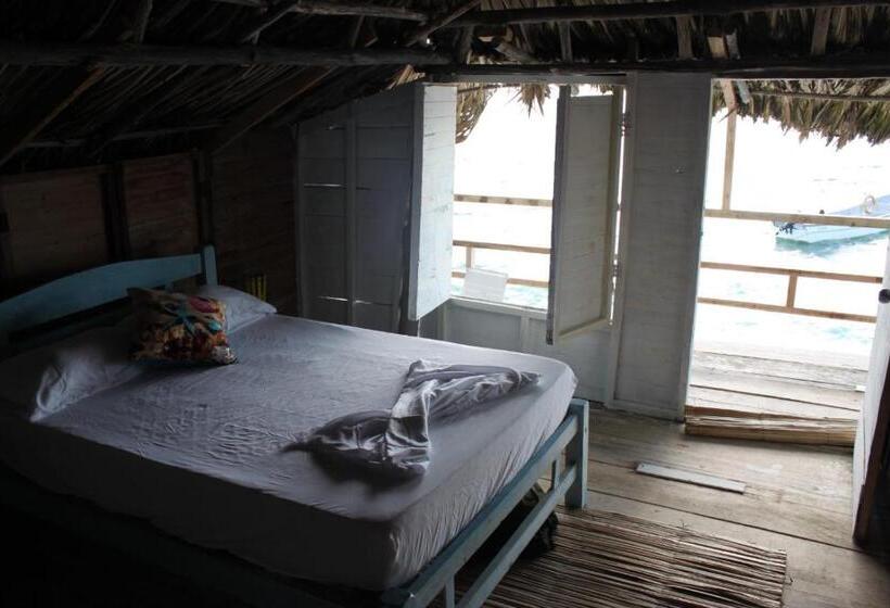 4인용 스탠다드 룸, Piña Colada Hostels