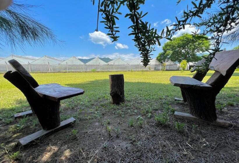 Номер Стандарт, Posada Del Cerro