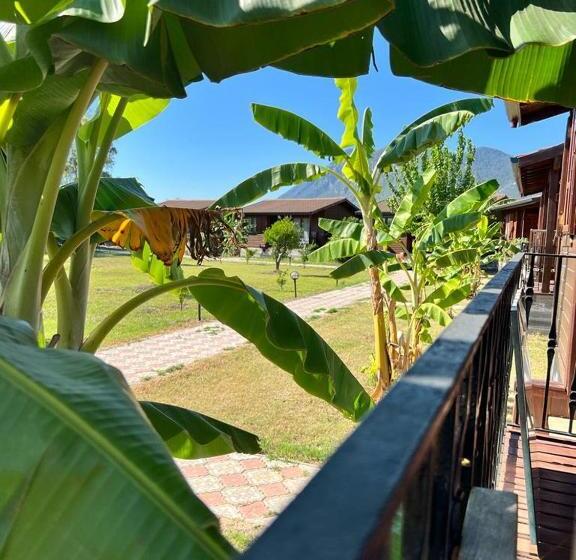 سوییت با چشمانداز کوه, Alicra Hotel çıralı