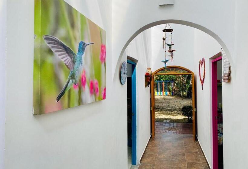 اتاق استاندارد, Cabaña Familiar En Afra Reserva Natural