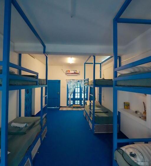Cama em Quarto Compartilhado, House Of Surf Hostel For Women