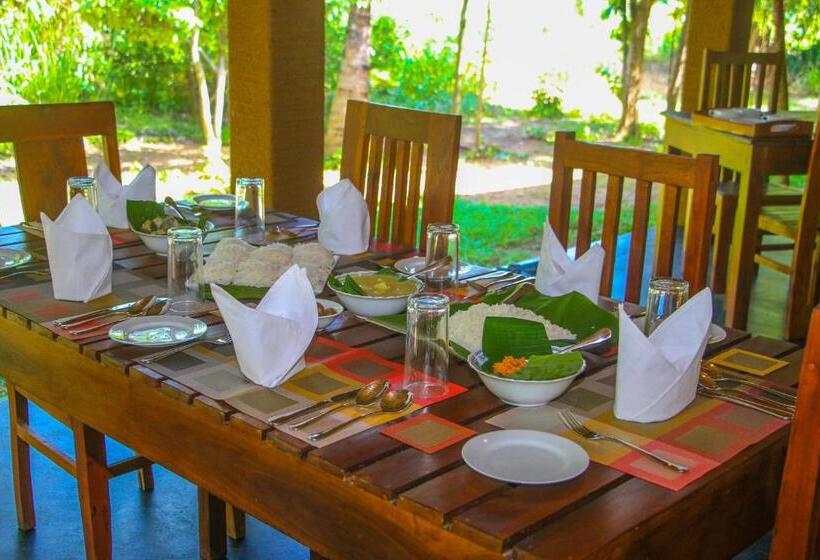 Номер Superior, Ceylon Amigos Eco Resort