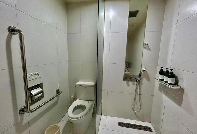 اتاق استاندارد, Arieti A